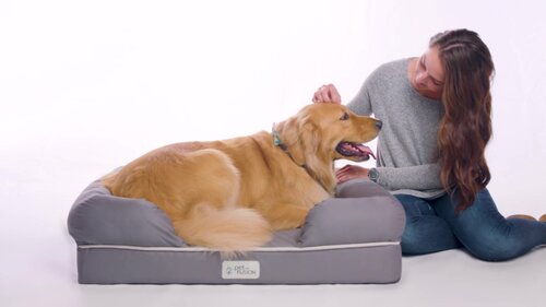 Petfusion memory foam dog hotsell bed large